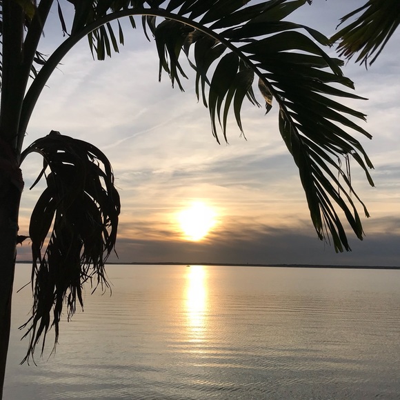 Meet your Posher, Anthony - Picture 2 of 2